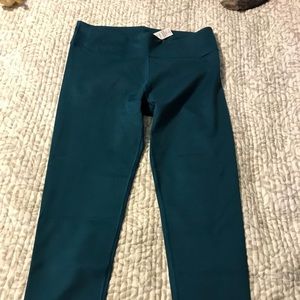 Full length Fabletics pants